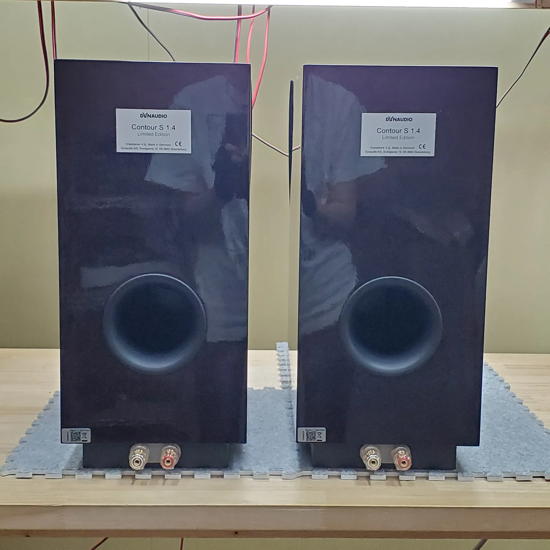 ディナウディオ CONTOUR S1.4LE スピーカーの背面の端子部、光沢のある黒色背面、バスレフポート、金色のスピーカーターミナル（シングルワイヤリング対応）